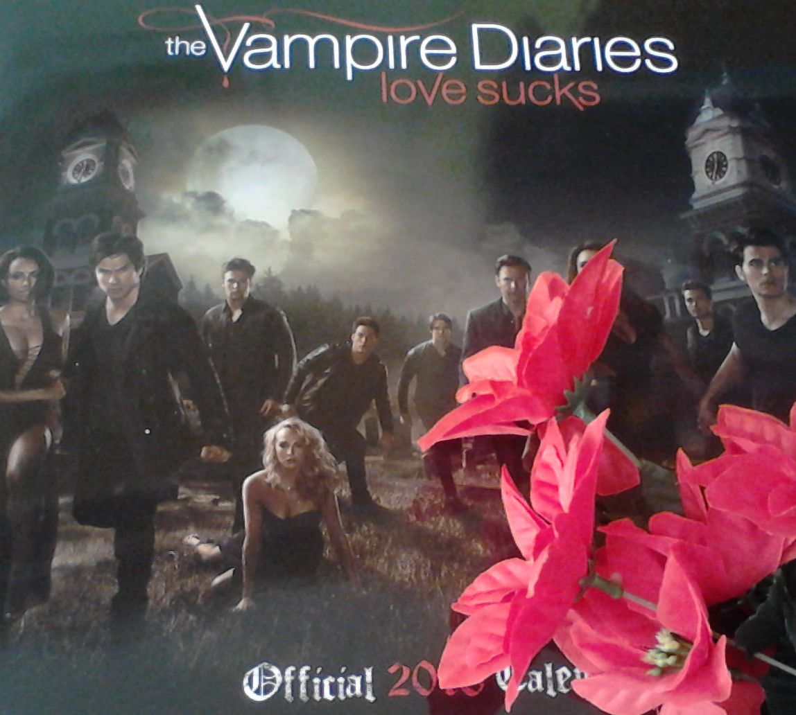 The Vampire diaries kalendář 2016